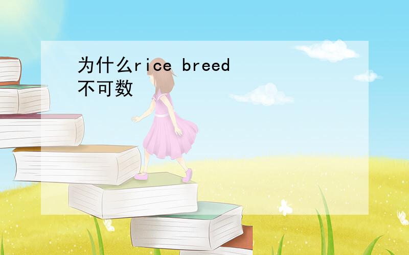 为什么rice breed 不可数