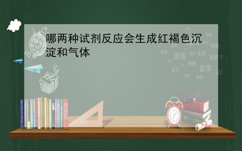 哪两种试剂反应会生成红褐色沉淀和气体