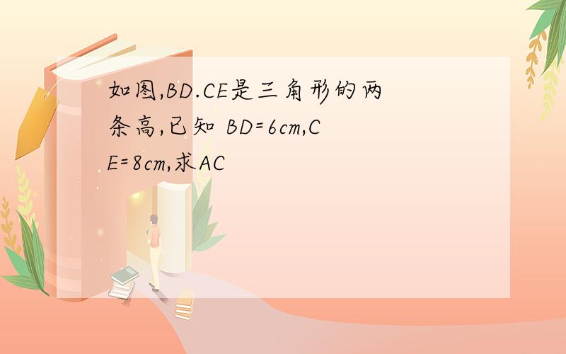 如图,BD.CE是三角形的两条高,已知 BD=6cm,CE=8cm,求AC