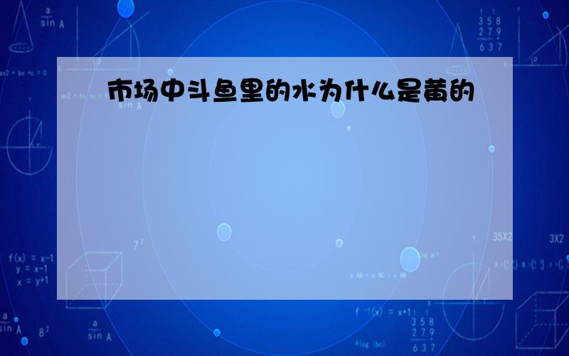 市场中斗鱼里的水为什么是黄的