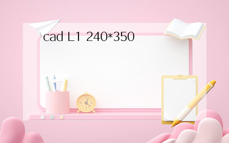 cad L1 240*350
