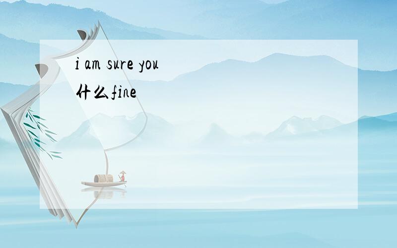 i am sure you 什么fine