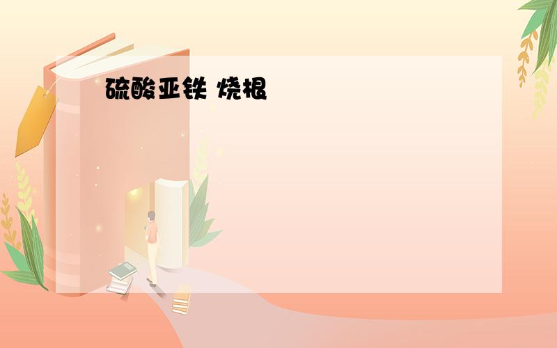 硫酸亚铁 烧根