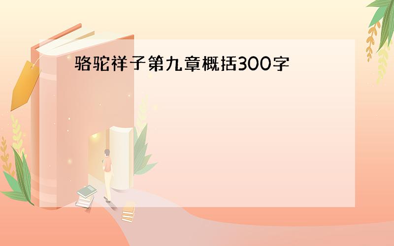 骆驼祥子第九章概括300字