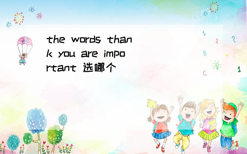 the words thank you are important 选哪个