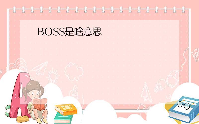 BOSS是啥意思