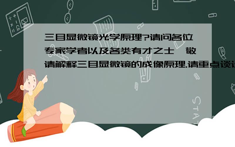 三目显微镜光学原理?请问各位专家学者以及各类有才之士,敬请解释三目显微镜的成像原理.请重点谈谈第三目的成像原理与二目有何