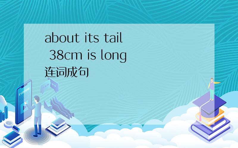 about its tail 38cm is long 连词成句