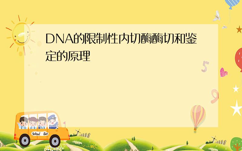 DNA的限制性内切酶酶切和鉴定的原理