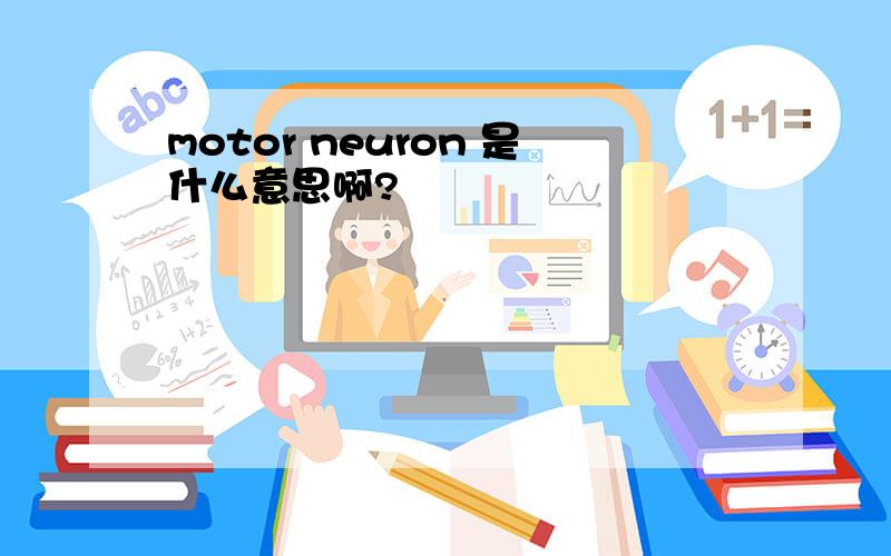 motor neuron 是什么意思啊?