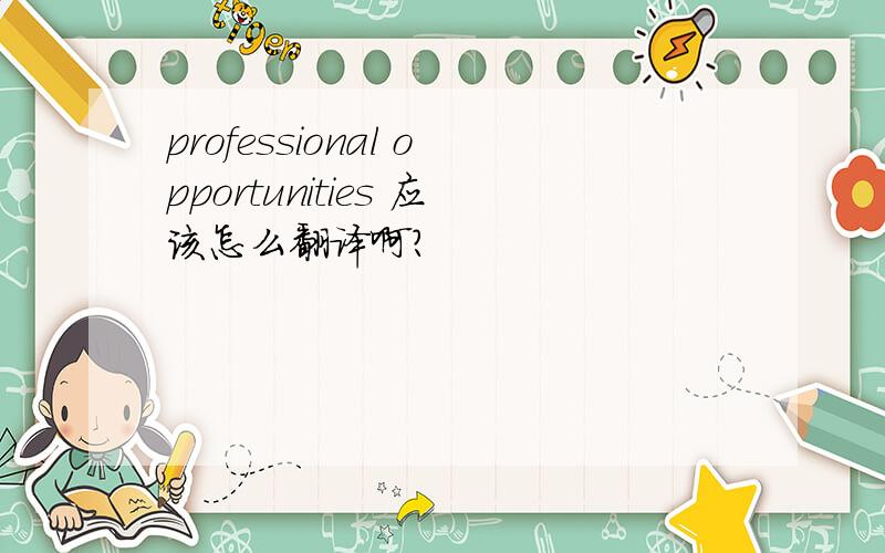 professional opportunities 应该怎么翻译啊?