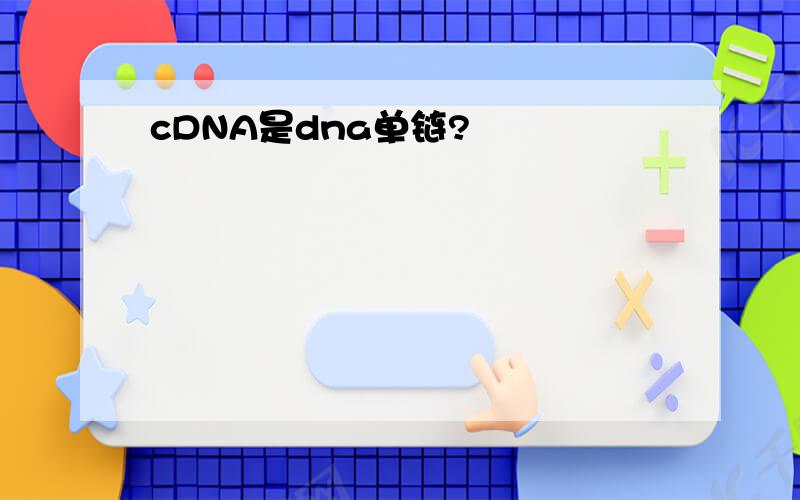 cDNA是dna单链?