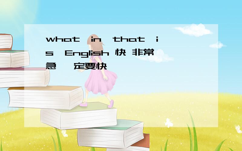 what,in,that,is,English 快 非常急 一定要快