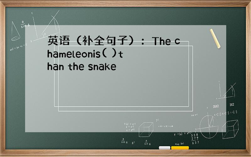英语（补全句子）：The chameleonis( )than the snake