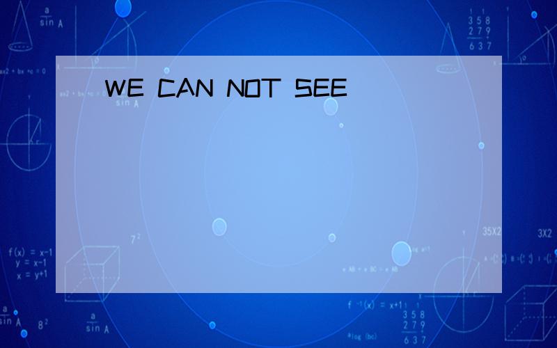 WE CAN NOT SEE