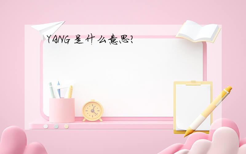 YANG 是什么意思?