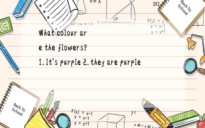 What colour are the flowers?1.lt's purple 2.they are purple