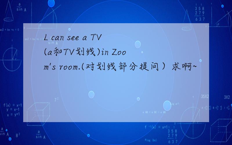 L can see a TV(a和TV划线)in Zoom's room.(对划线部分提问）求啊~