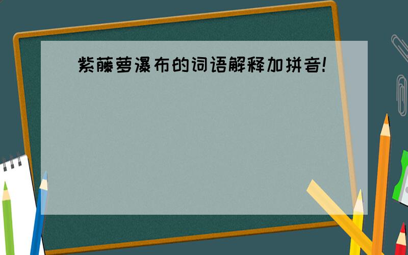 紫藤萝瀑布的词语解释加拼音!