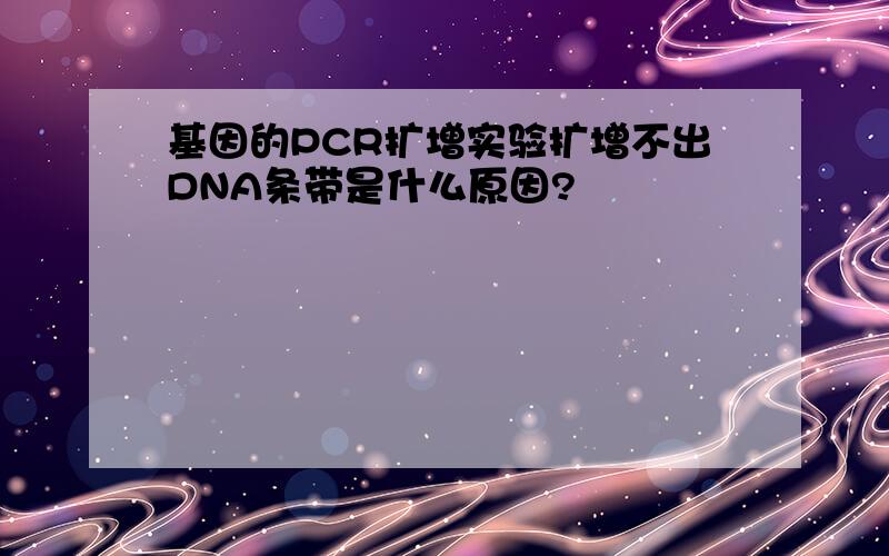 基因的PCR扩增实验扩增不出DNA条带是什么原因?