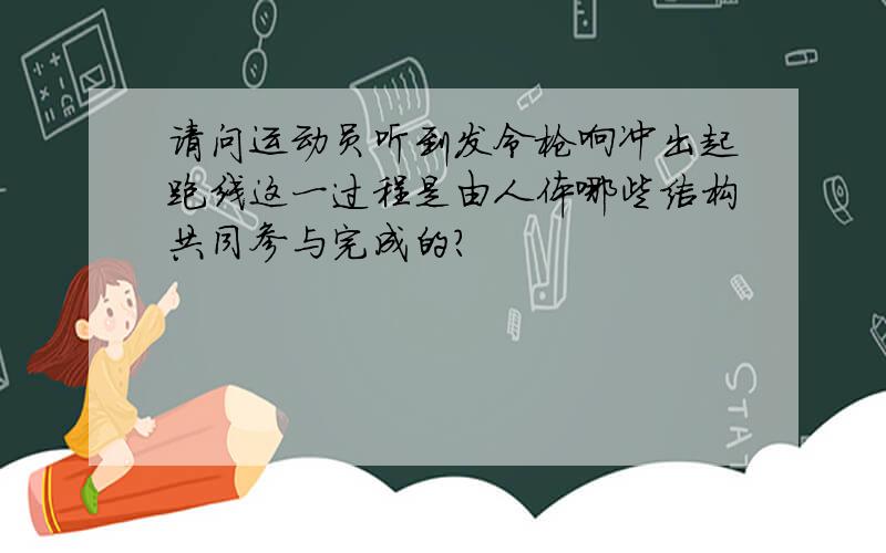 请问运动员听到发令枪响冲出起跑线这一过程是由人体哪些结构共同参与完成的?