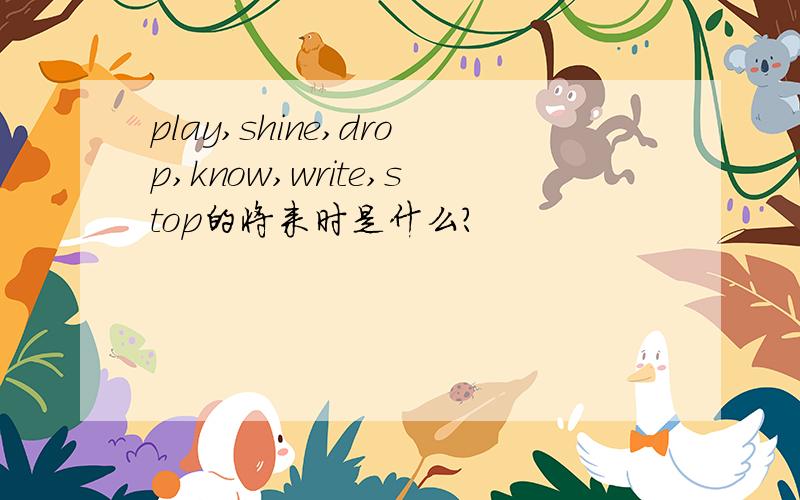 play,shine,drop,know,write,stop的将来时是什么?