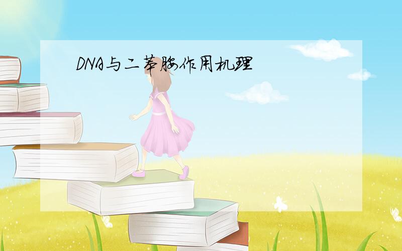 DNA与二苯胺作用机理