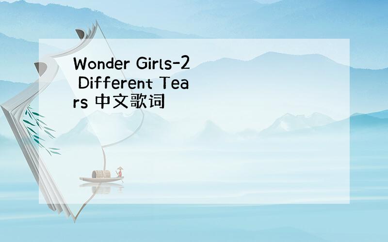 Wonder Girls-2 Different Tears 中文歌词