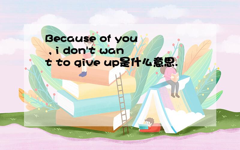 Because of you , i don't want to give up是什么意思.