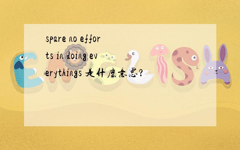 spare no efforts in doing everythings 是什麽意思?