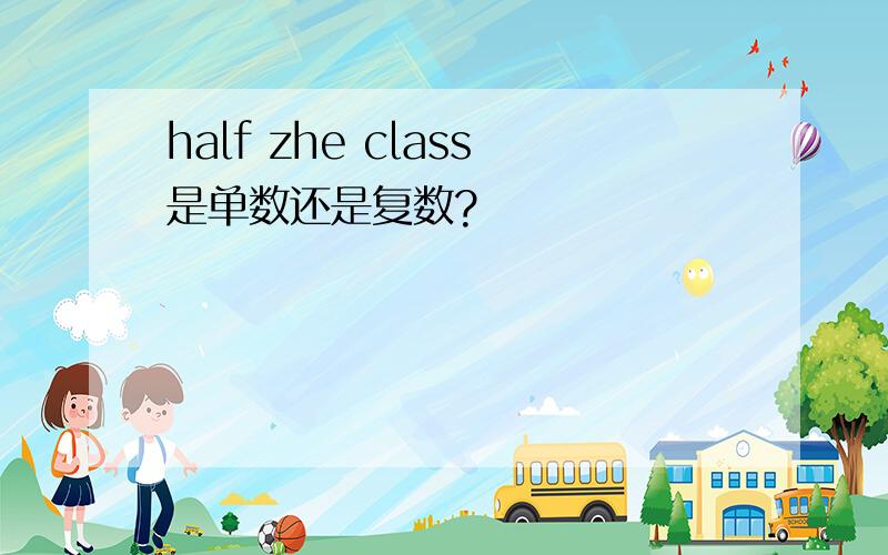 half zhe class是单数还是复数?