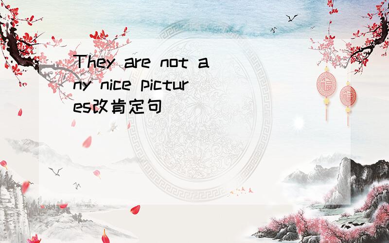 They are not any nice pictures改肯定句