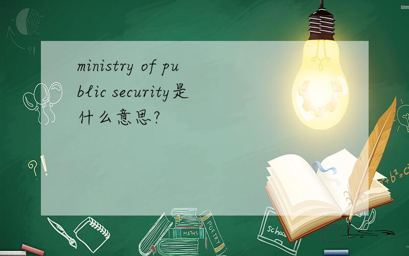ministry of public security是什么意思?