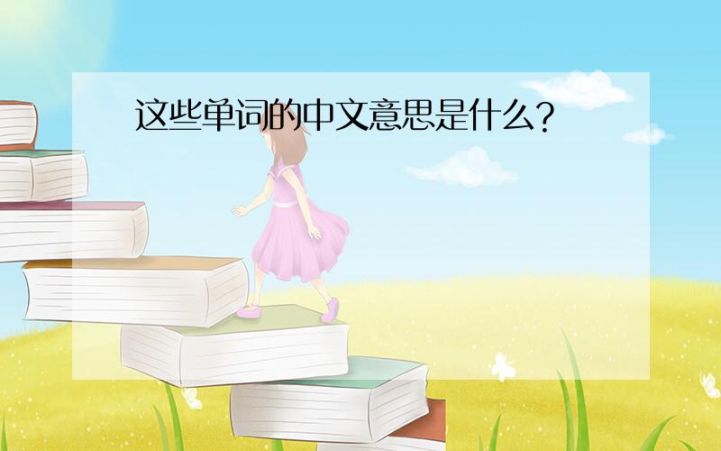 这些单词的中文意思是什么?