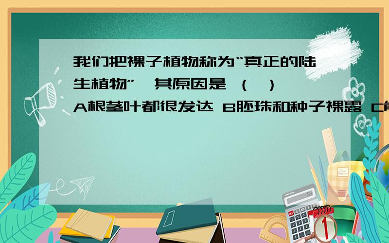 我们把裸子植物称为“真正的陆生植物”,其原因是 （ ） A根茎叶都很发达 B胚珠和种子裸露 C能