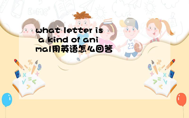 what letter is a kind of animal用英语怎么回答