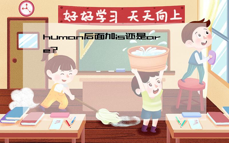 human后面加is还是are?