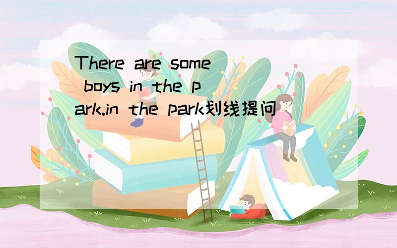 There are some boys in the park.in the park划线提问