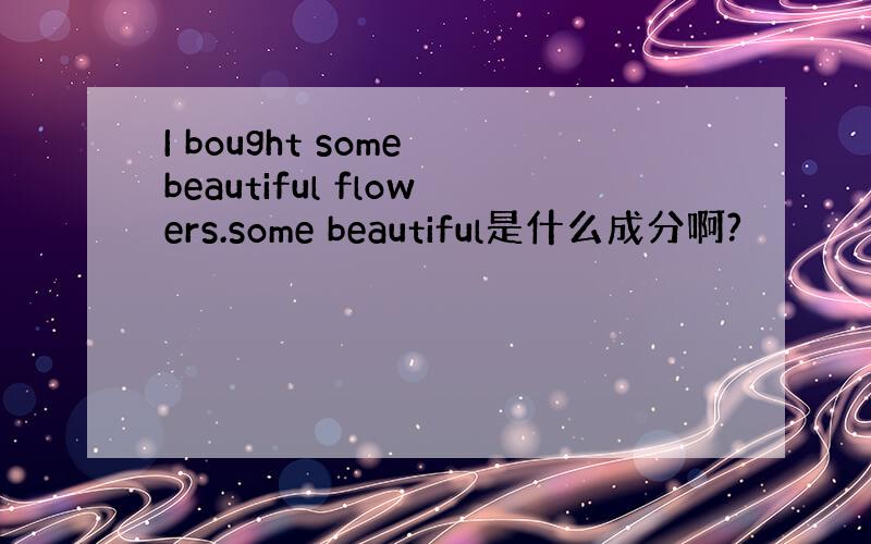 I bought some beautiful flowers.some beautiful是什么成分啊?